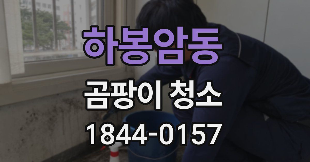 하봉암동 곰팡이 청소