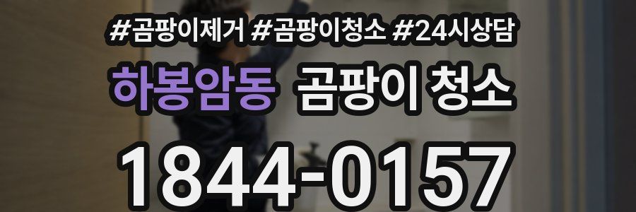 하봉암동 곰팡이 청소