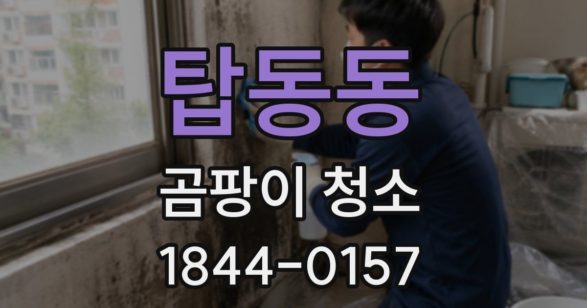 탑동동 곰팡이 청소