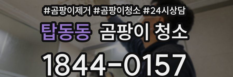 탑동동 곰팡이 청소