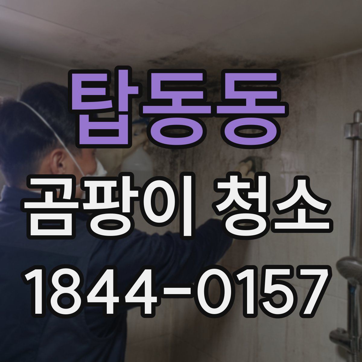 탑동동 곰팡이 청소