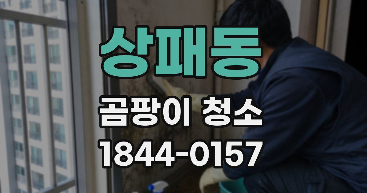 상패동 곰팡이 청소