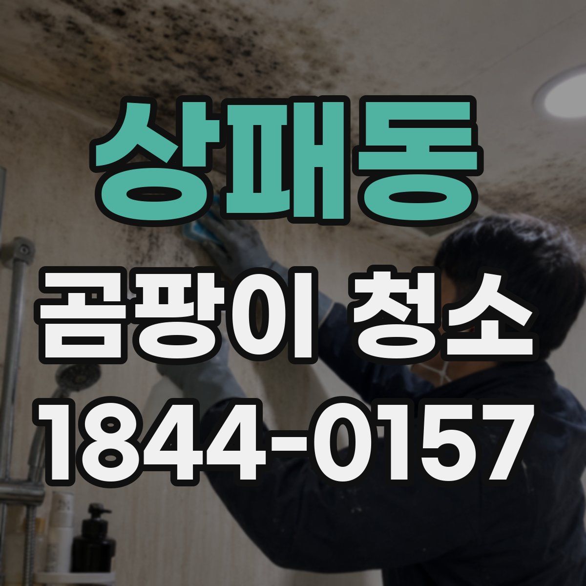 상패동 곰팡이 청소