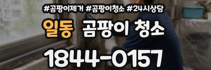 일동 곰팡이 청소