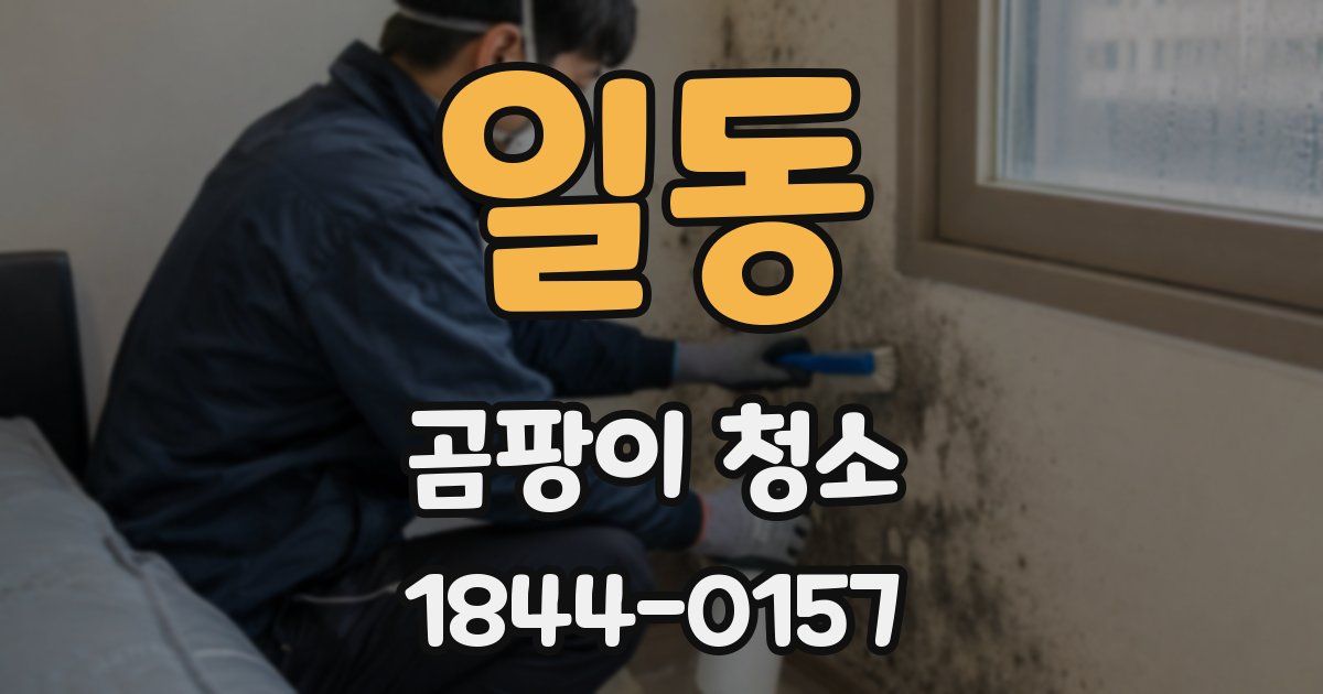 일동 곰팡이 청소