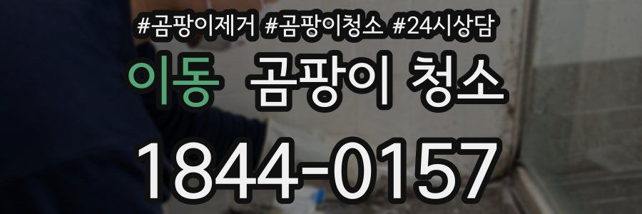 이동 곰팡이 청소