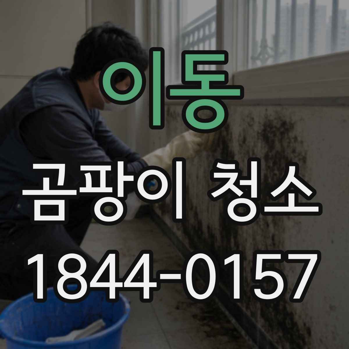 이동 곰팡이 청소