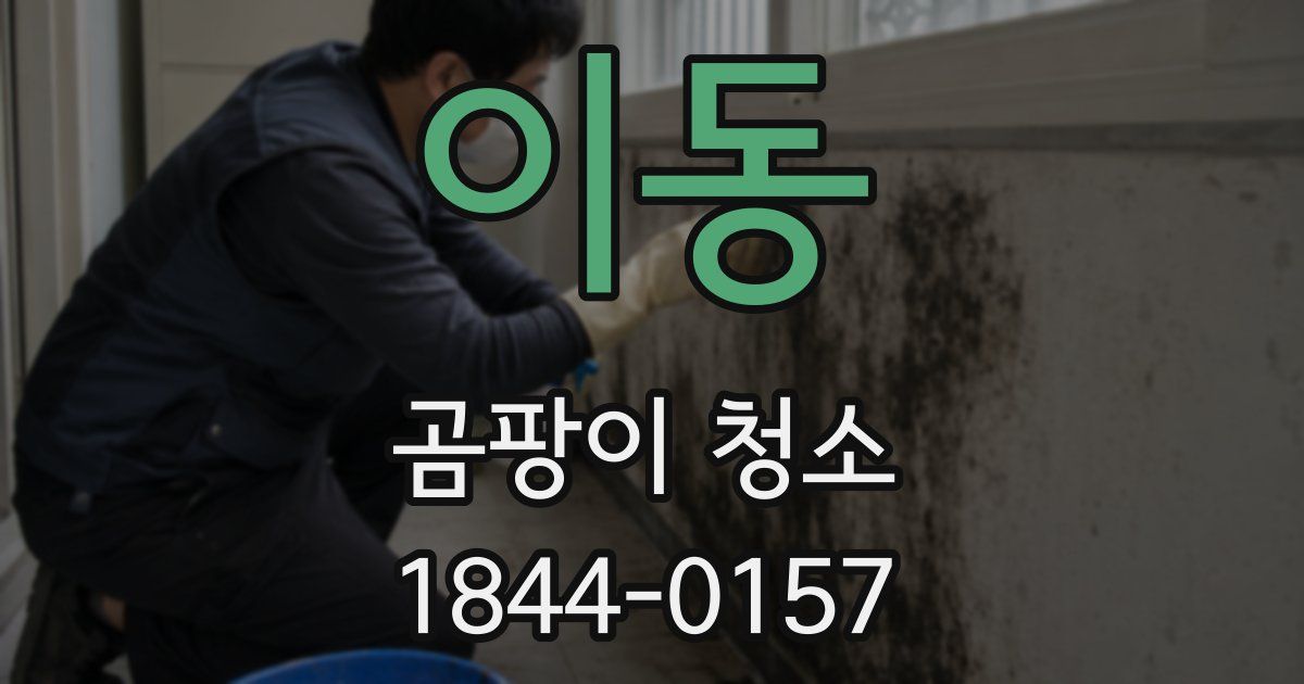 이동 곰팡이 청소