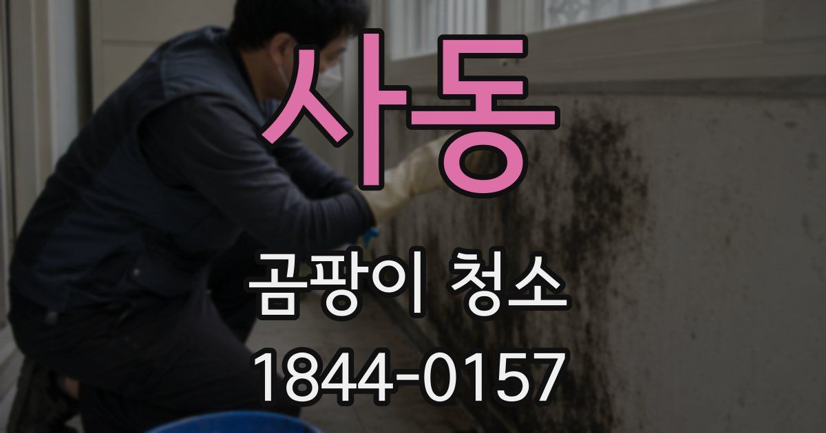 사동 곰팡이 청소