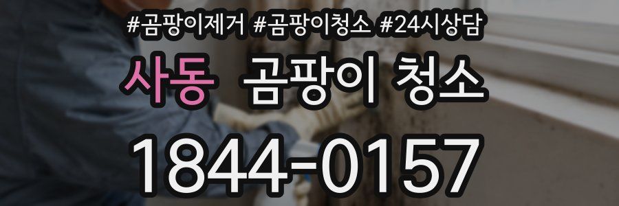 사동 곰팡이 청소