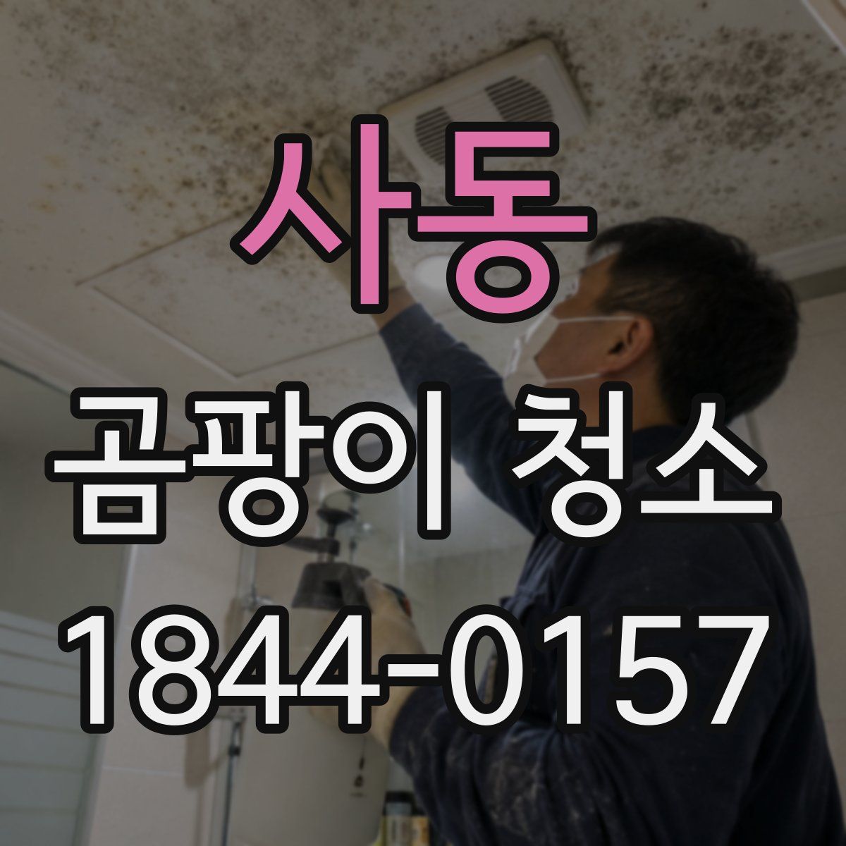 사동 곰팡이 청소