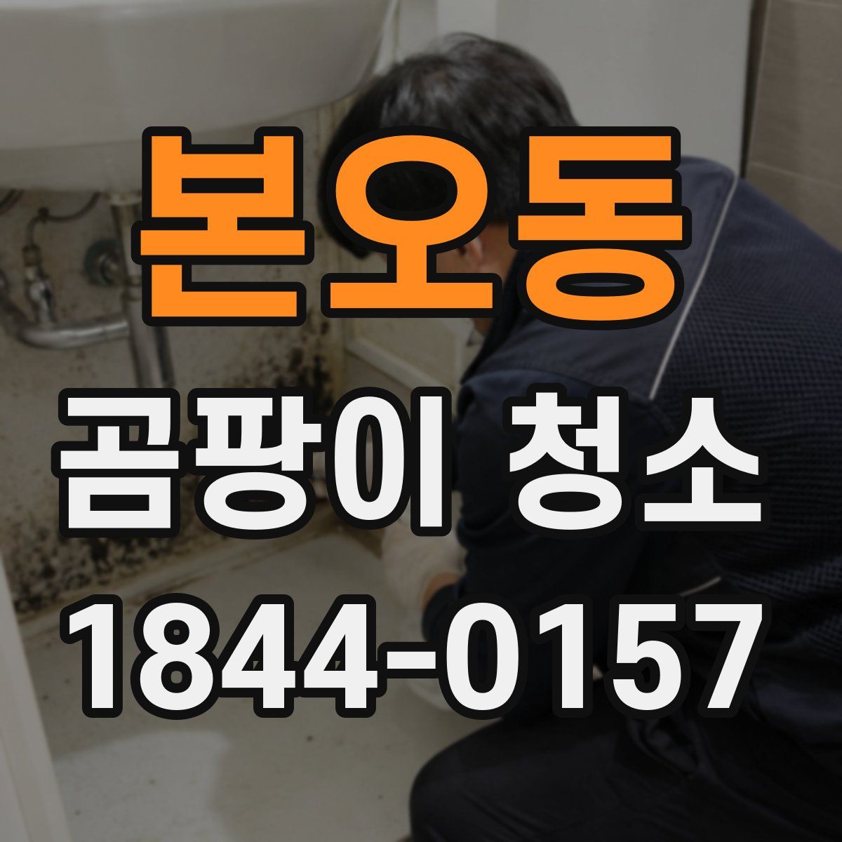 본오동 곰팡이 청소