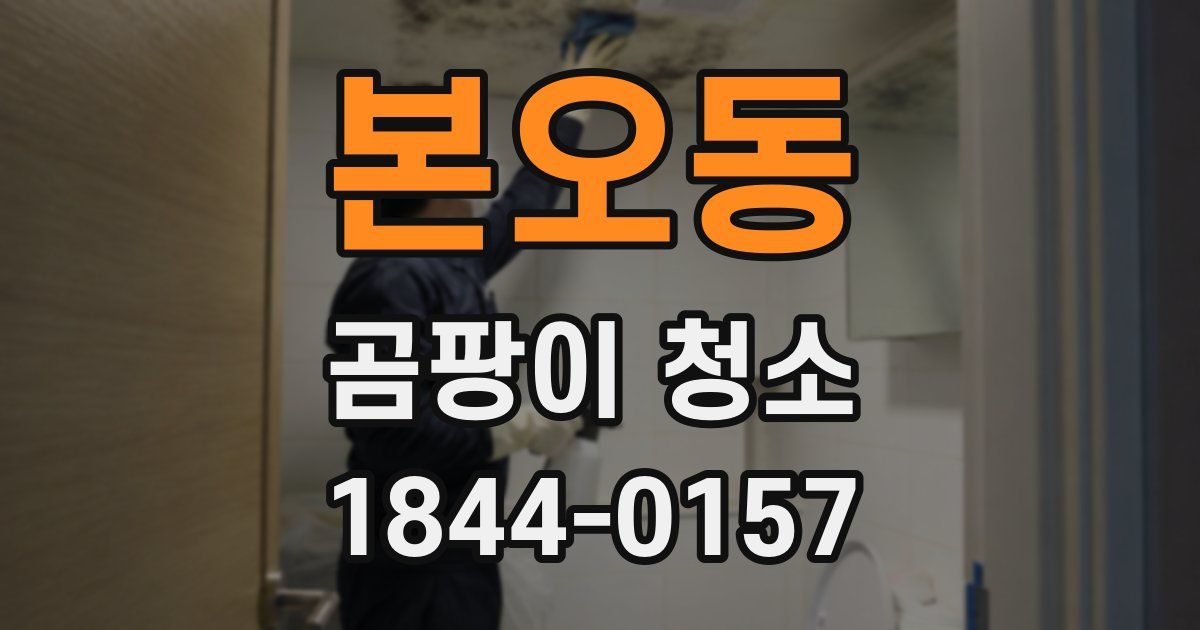 본오동 곰팡이 청소