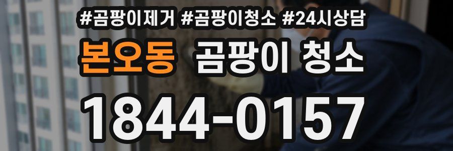 본오동 곰팡이 청소