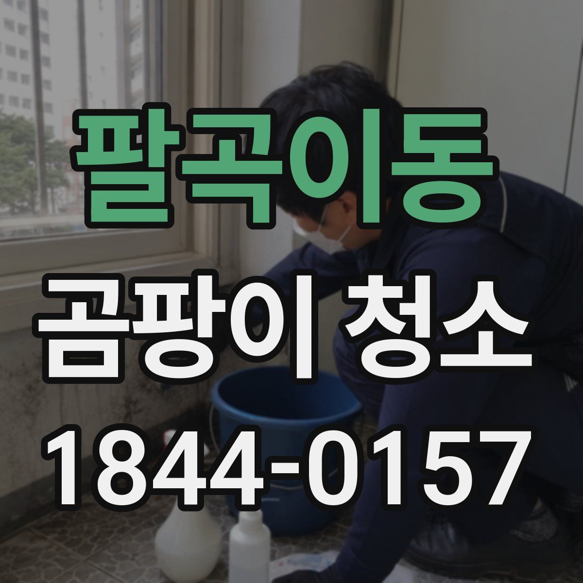 팔곡이동 곰팡이 청소