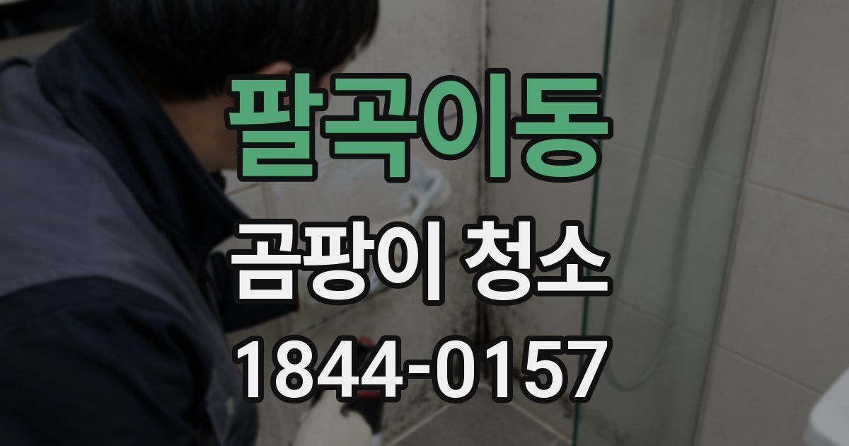팔곡이동 곰팡이 청소