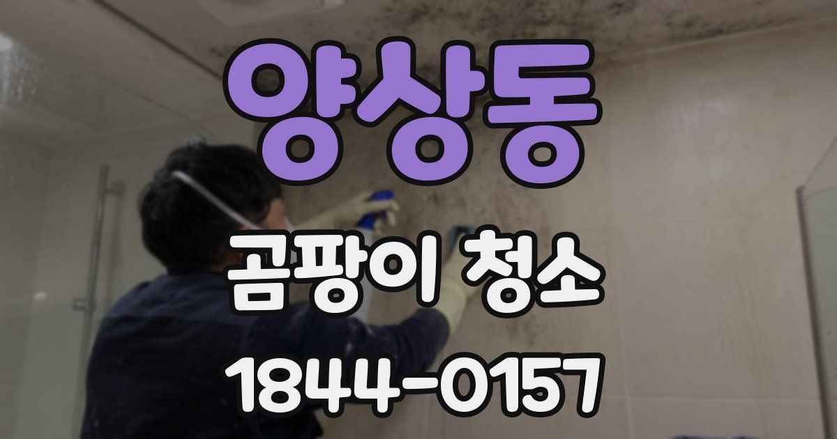 양상동 곰팡이 청소