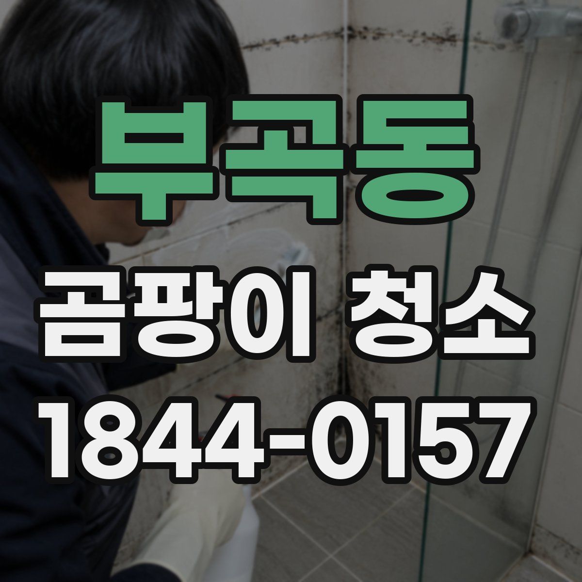 부곡동 곰팡이 청소