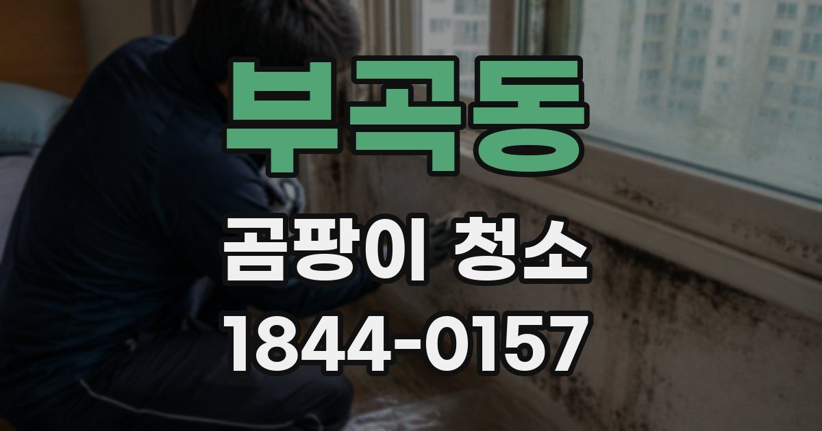 부곡동 곰팡이 청소