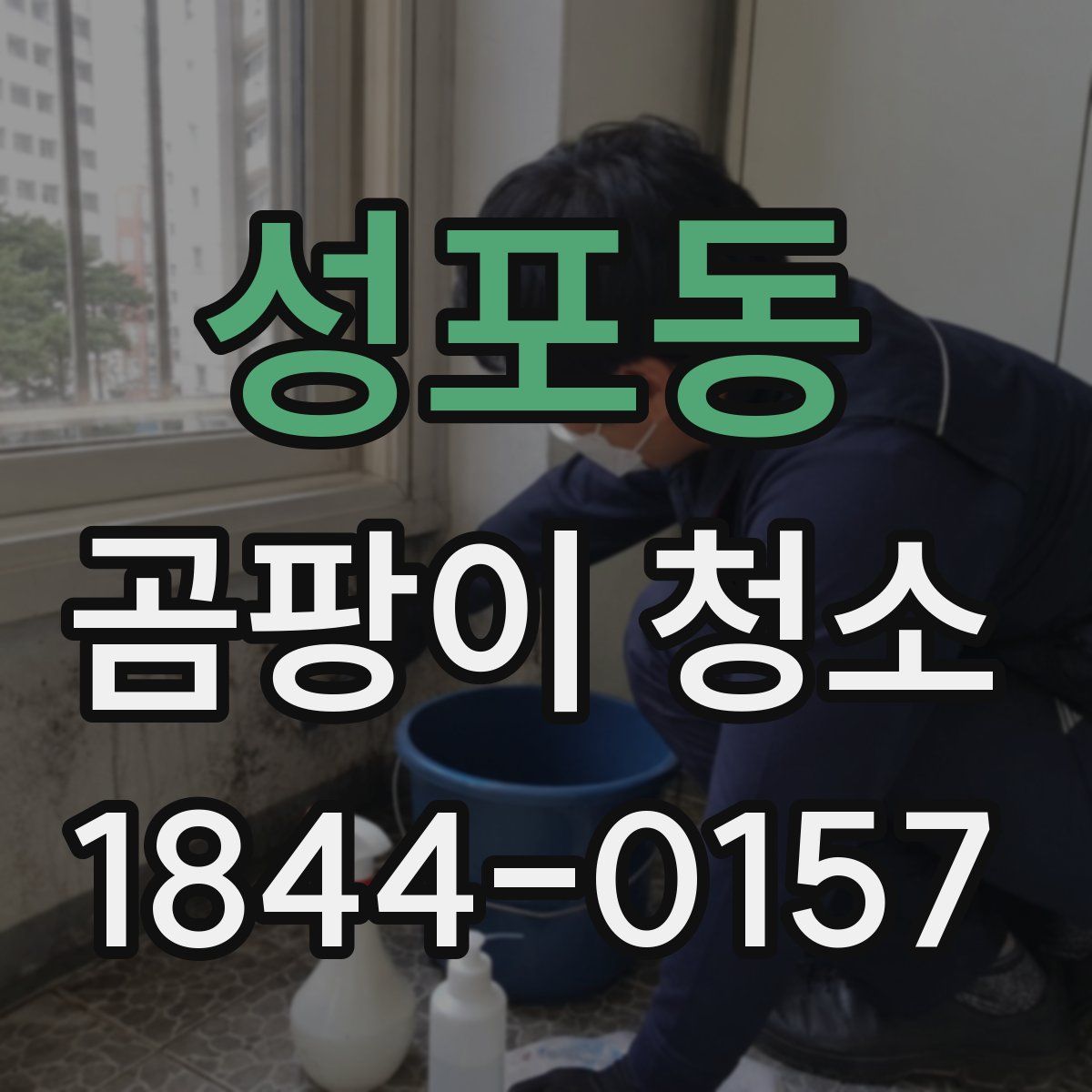 성포동 곰팡이 청소