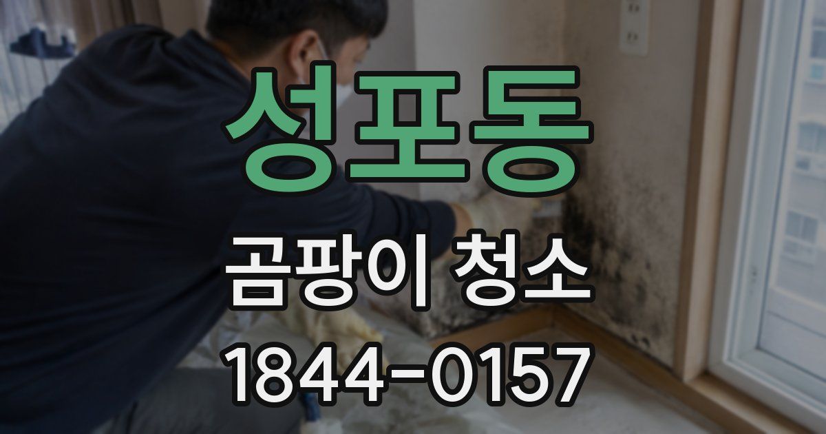 성포동 곰팡이 청소