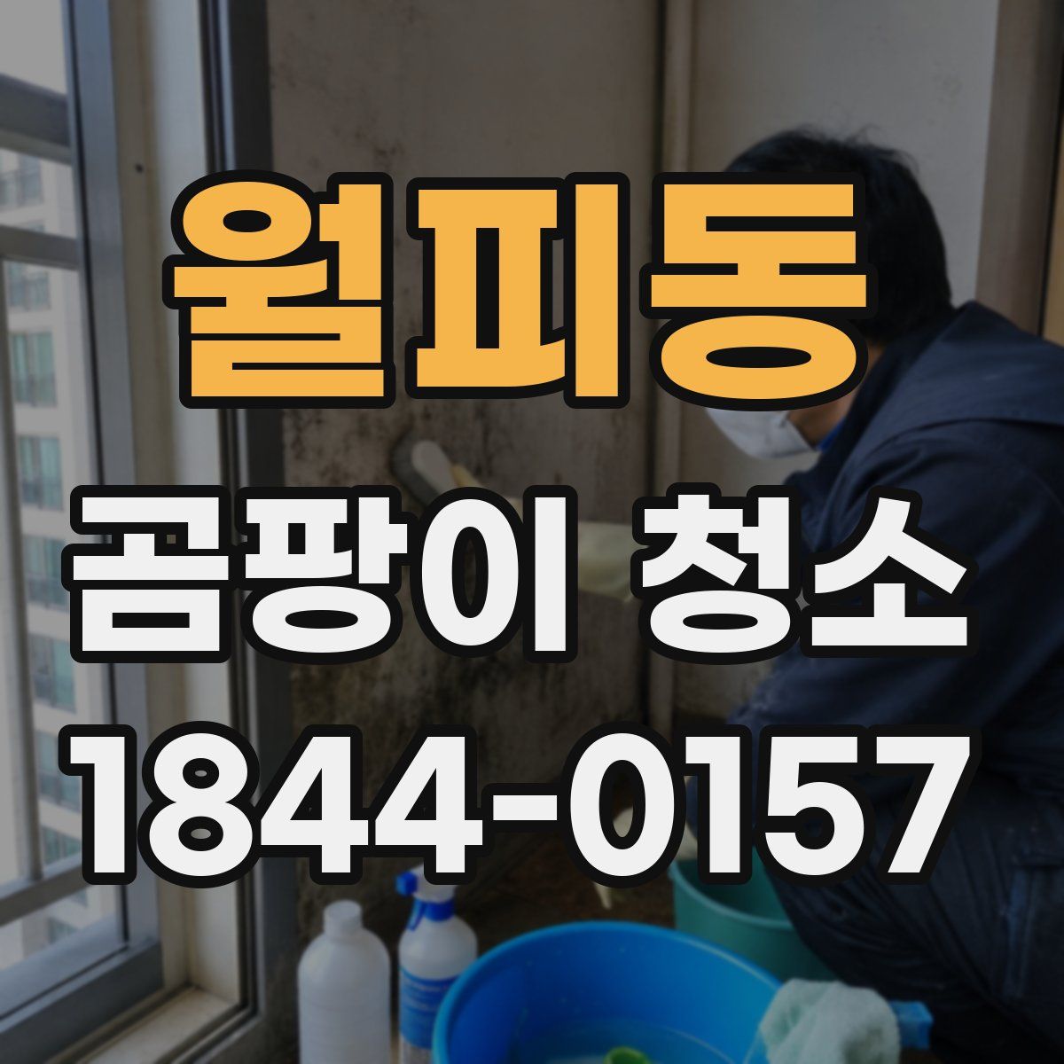 월피동 곰팡이 청소