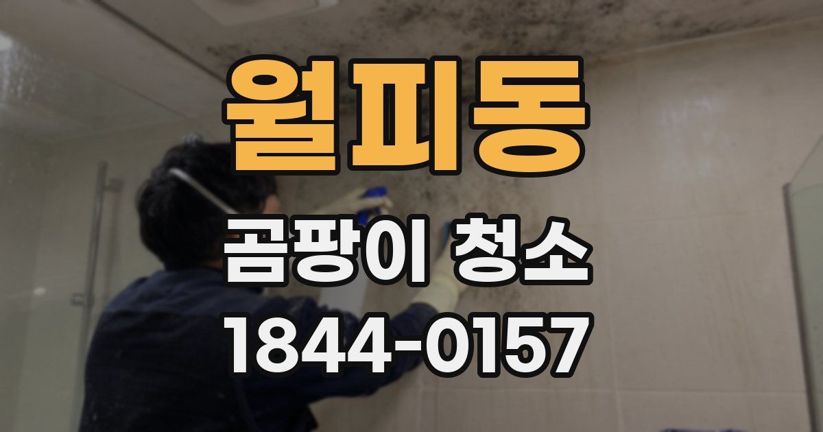 월피동 곰팡이 청소