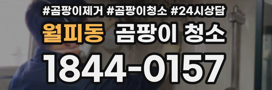 월피동 곰팡이 청소