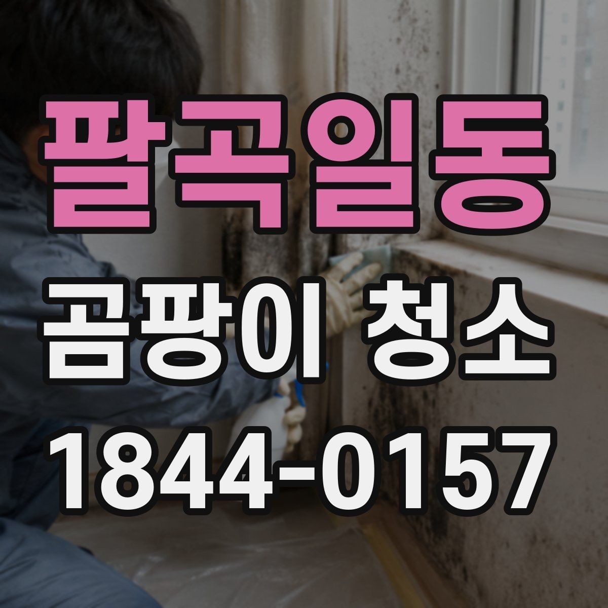 팔곡일동 곰팡이 청소 작업 전후로 기록하면 좋은 현장 체크