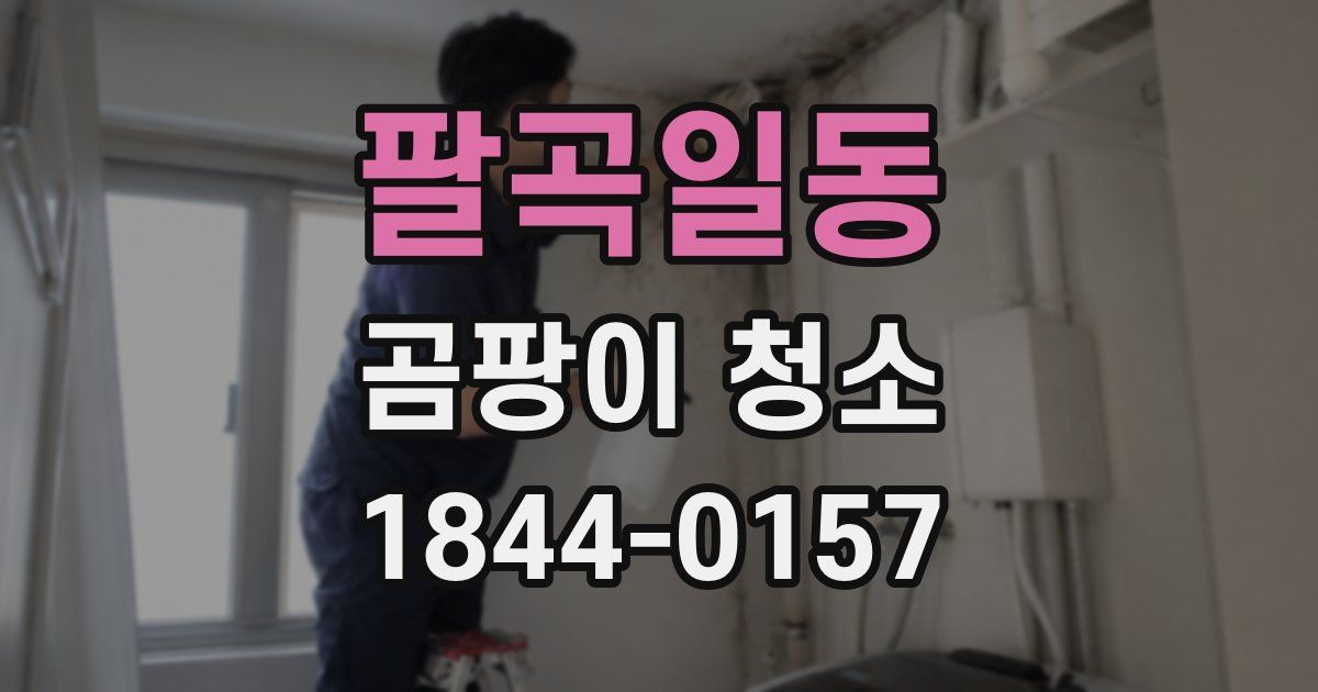 팔곡일동 곰팡이 청소