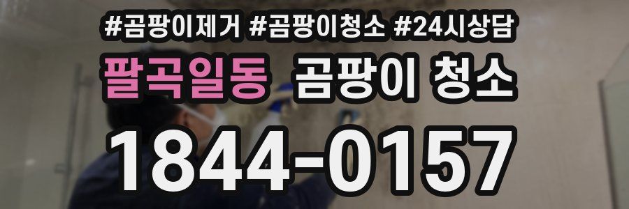 팔곡일동 곰팡이 청소