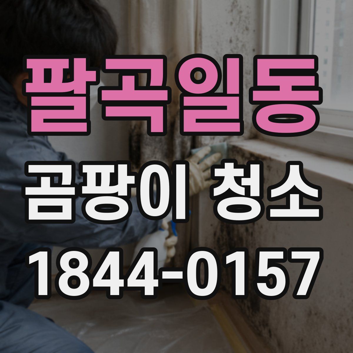 팔곡일동 곰팡이 청소