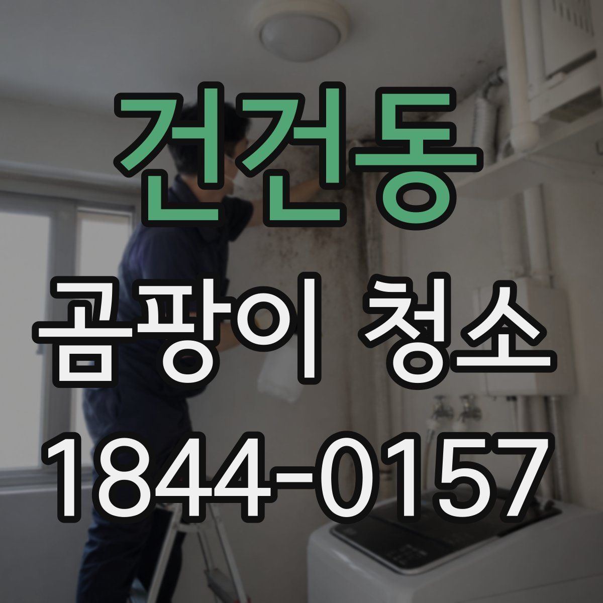 건건동 곰팡이 청소