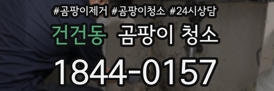 건건동 곰팡이 청소