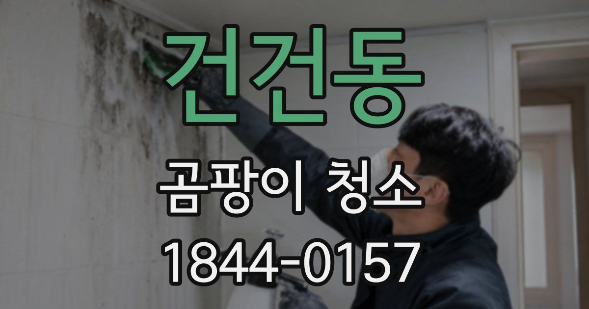 건건동 곰팡이 청소