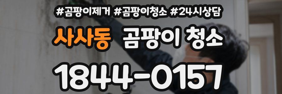 사사동 곰팡이 청소