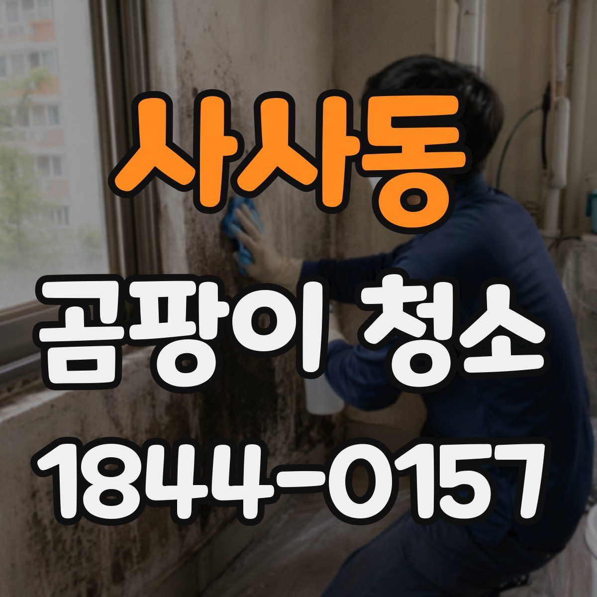 사사동 곰팡이 청소