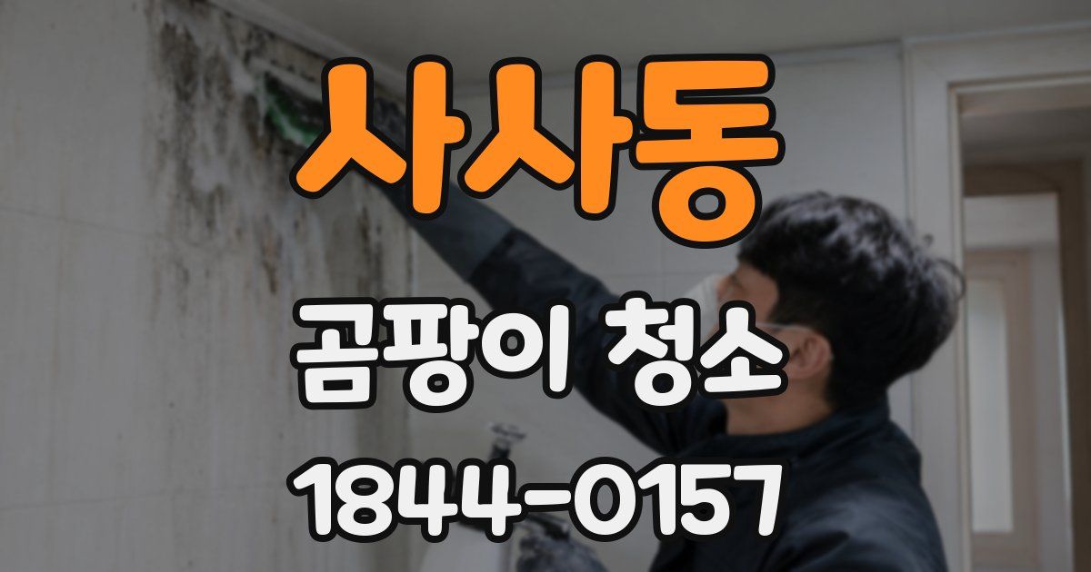 사사동 곰팡이 청소