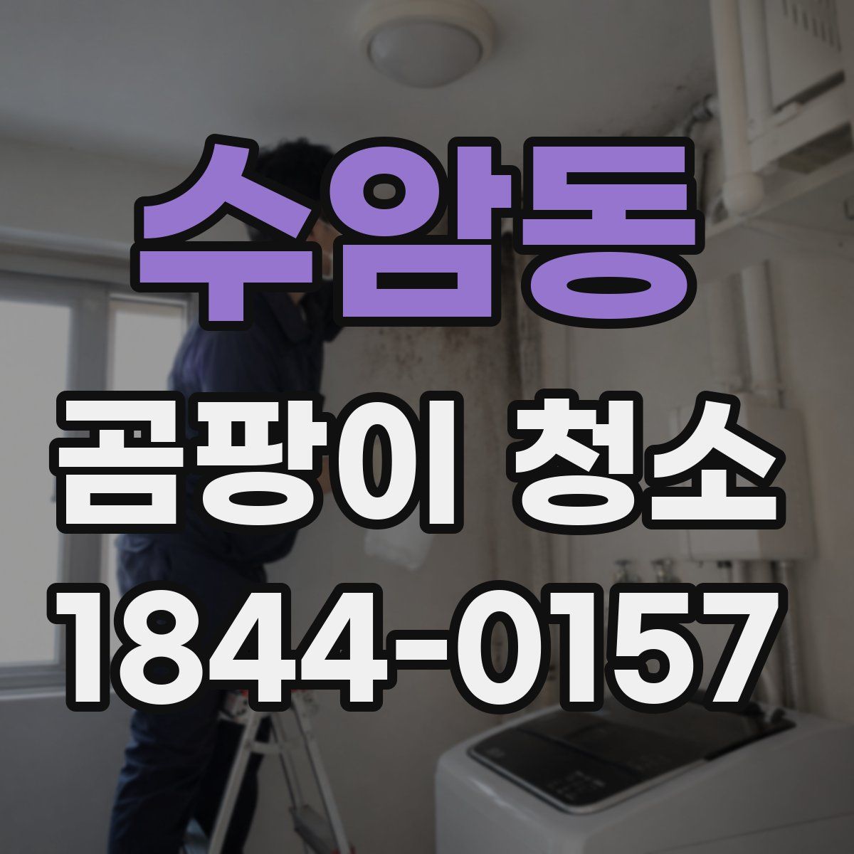 수암동 곰팡이 청소