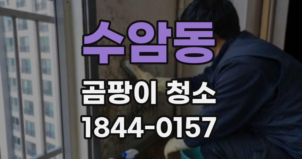 수암동 곰팡이 청소