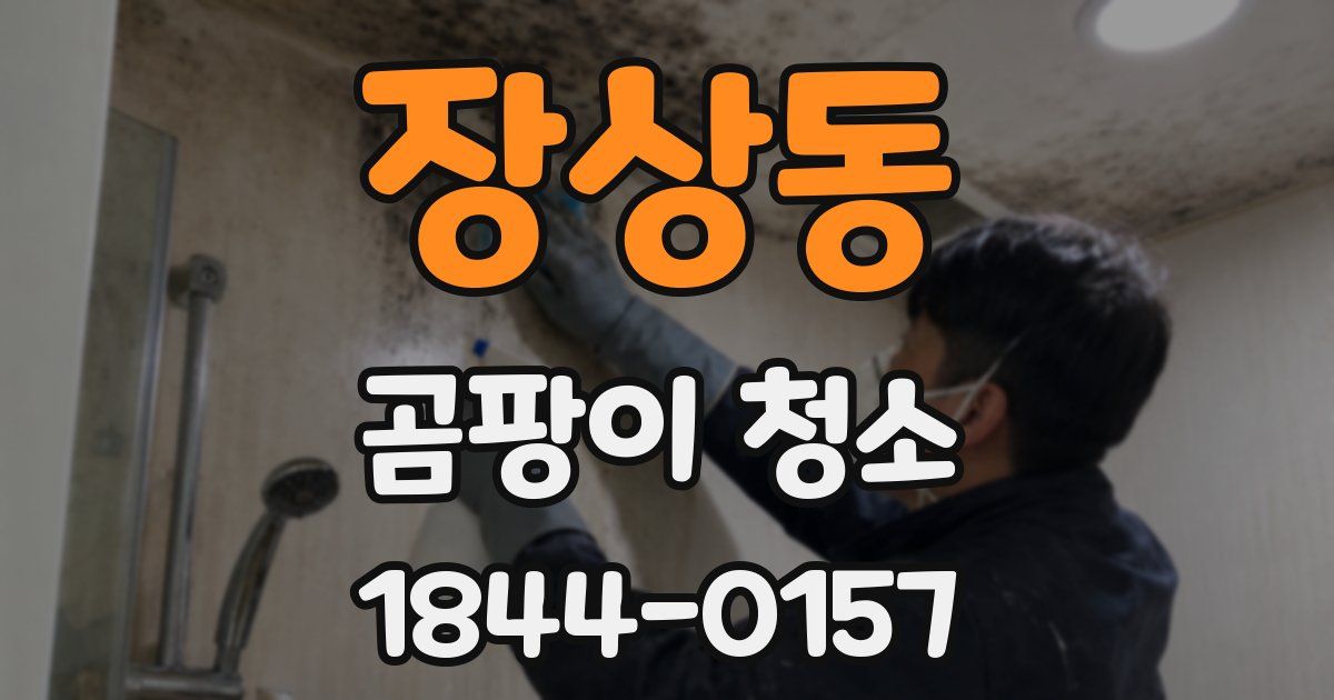 장상동 곰팡이 청소