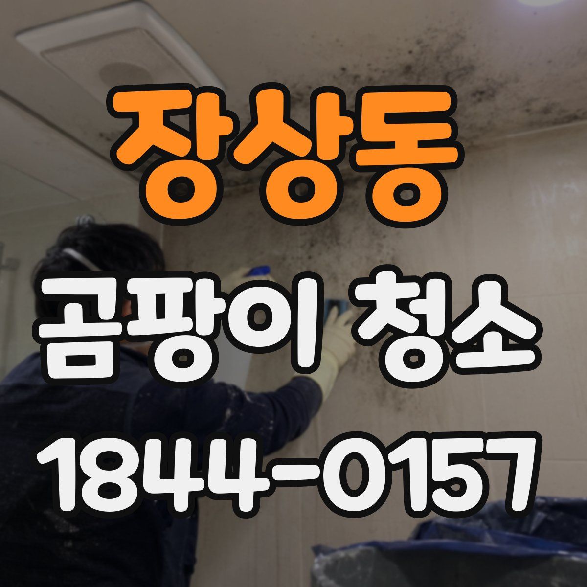 장상동 곰팡이 청소