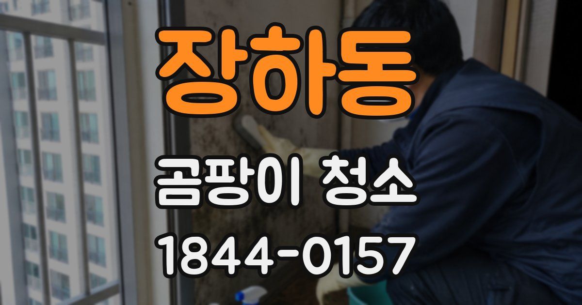 장하동 곰팡이 청소