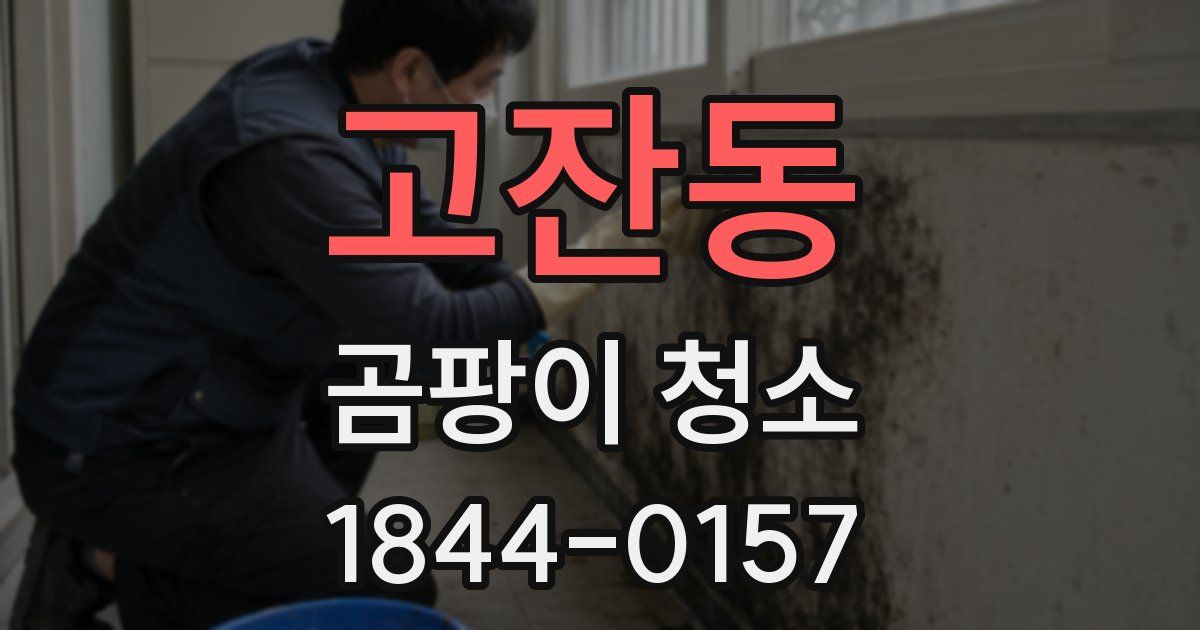고잔동 곰팡이 청소