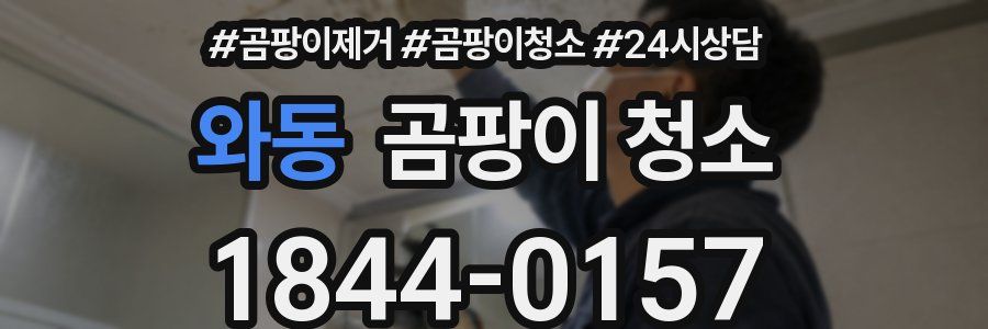 와동 곰팡이 청소