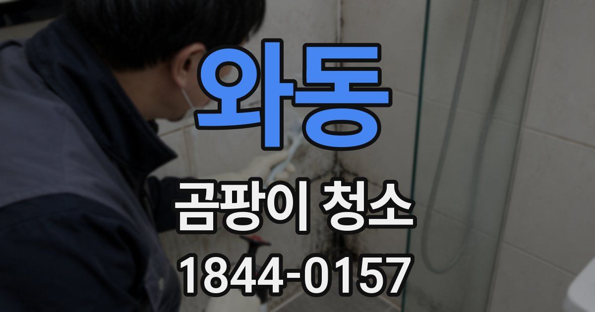 와동 곰팡이 청소