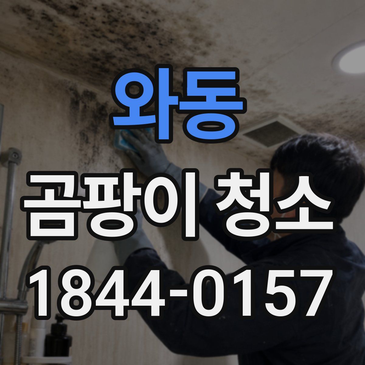 와동 곰팡이 청소