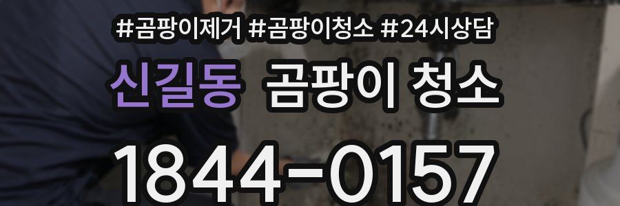 신길동 곰팡이 청소