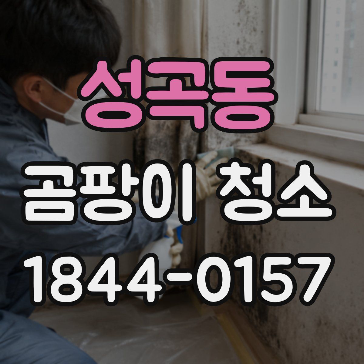 성곡동 곰팡이 청소