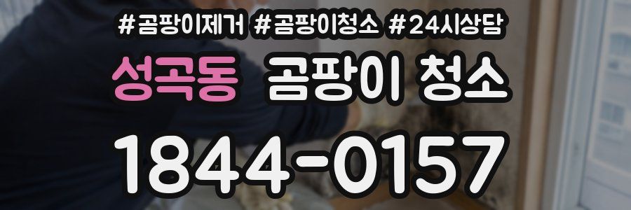 성곡동 곰팡이 청소